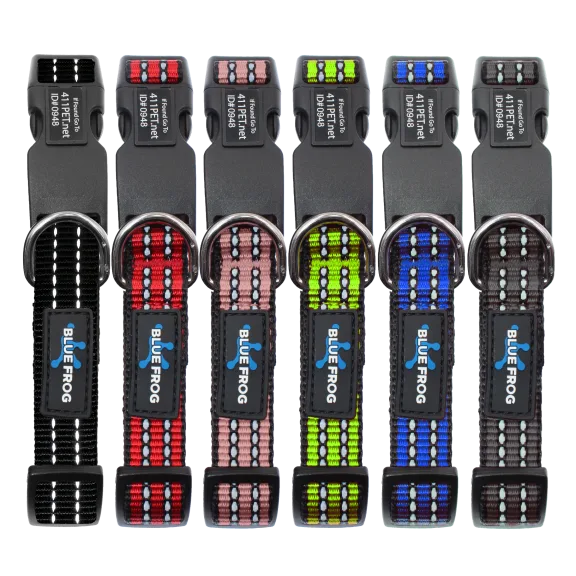 BlueFrog Track N' Guard Bluetooth Tracking Dog Collar