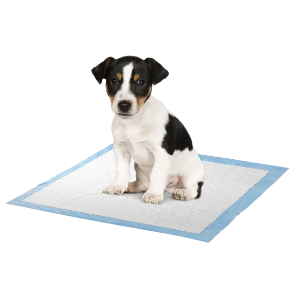 100-Pack: iPets Puppy Training Pads