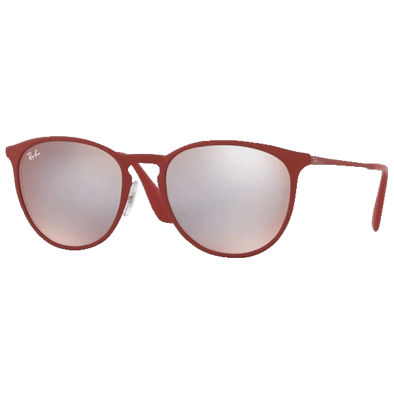 Ray-Ban Erika Metal Sunglasses