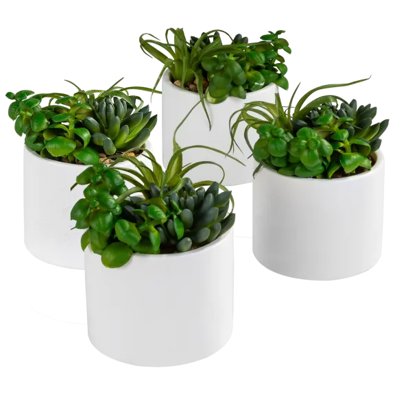4-Pack: Décor Faux Succulents 5" White Vases
