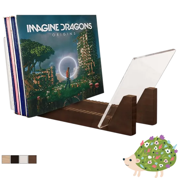 KAIU Vinyl Record Storage Holder