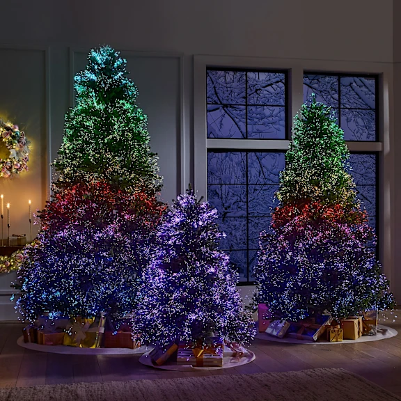 The Northern Lights Tree