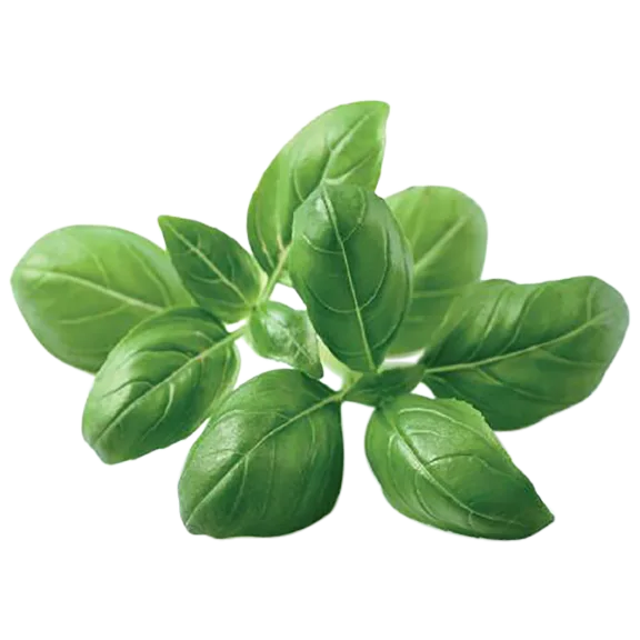 Click and Grow Basil Plant Pods