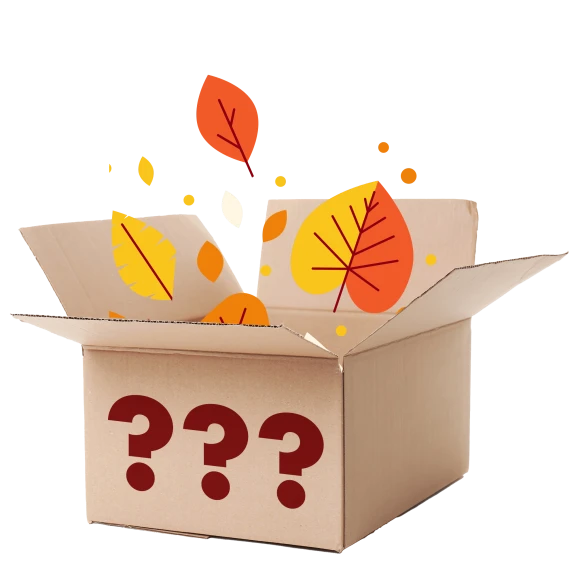 8-Piece: Premium Fall Mystery Bundle