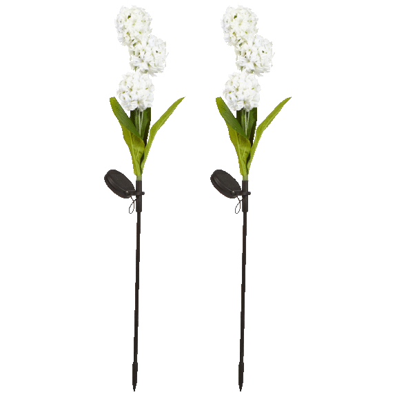 2-Piece: Wind and Weather Solar Flower Stakes