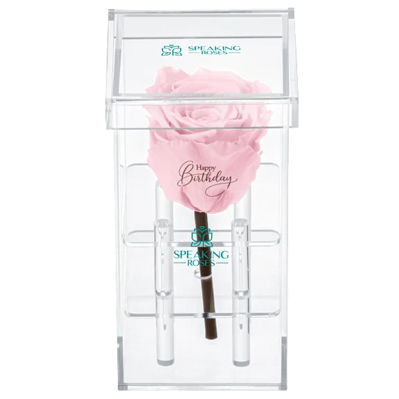 The "Happy Birthday" Rose in Pink