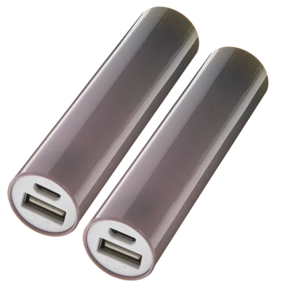 2-Pack: Bits Made 2000mAH Ombre Cylinder Power Banks