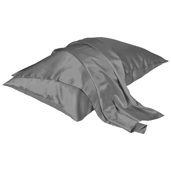 2-Pack: Beckham Hotel Collection 100% Mulberry Silk Pillowcase