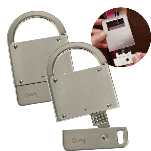2-Pack: Quirky Flat Padlock