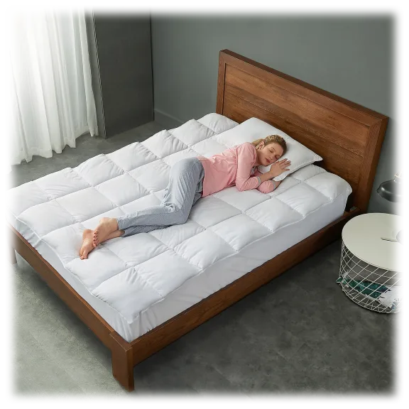 Cheer Collection Luxurious Microplush Hypoallergenic Mattress Topper
