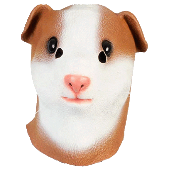 Pick-Your-2-Pack: Animal Masks