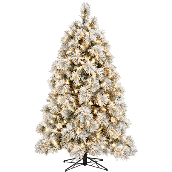 The 6½-Foot Snow-Dusted Pine