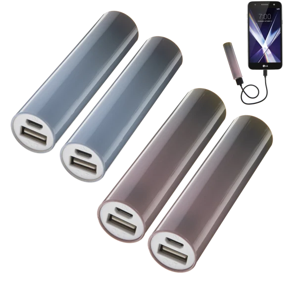 2-Pack: Bits Made 2000mAH Ombre Cylinder Power Banks