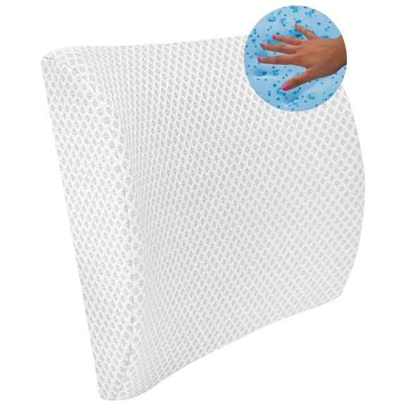 SensorPEDIC Conforming Memory Foam Lumbar Back Support Pillow