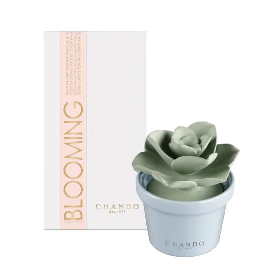 Chando Blooming Collection Blooming Love Diffuser