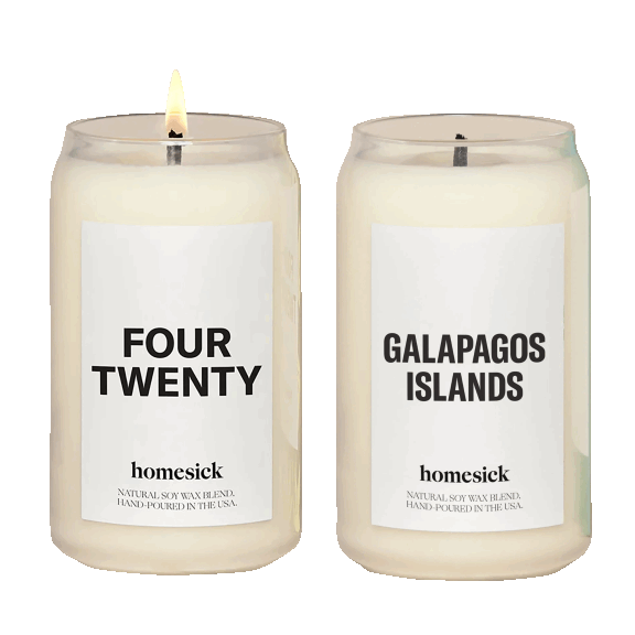 Pick-Your-2-Pack: Homesick Candles