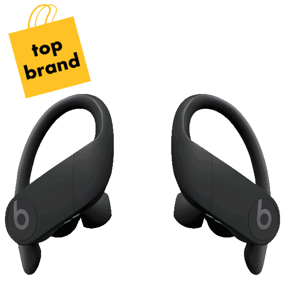 Beats Powerbeats Pro Totally Wireless Earbuds