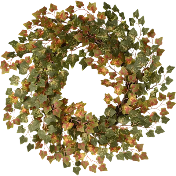 National Tree Company 24" Green Ivy Harvest Wreath
