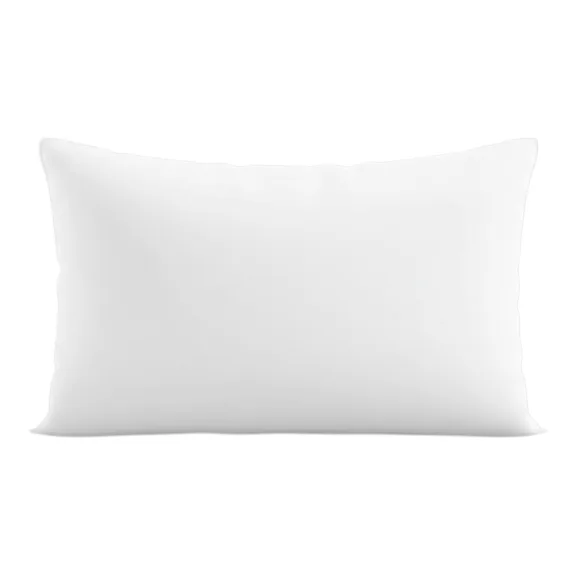 New York & Company Chic Duck Feather Cotton Pillow