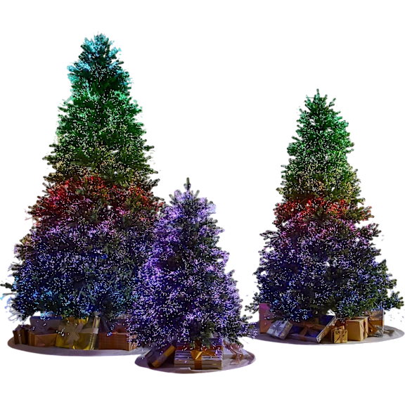 The Northern Lights Tree