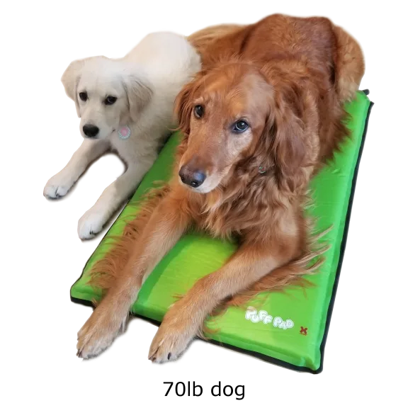 Hugs Puff Pad Self-Inflating Pet Bed