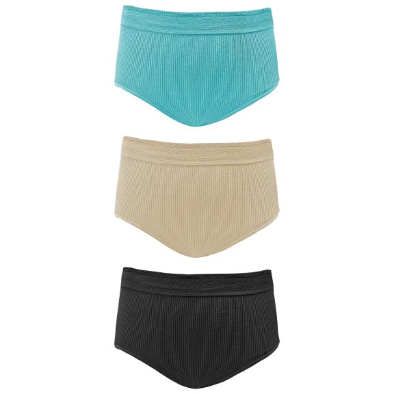 3-Pack: Rhonda Shear Ribbed Seamless Lace Brief