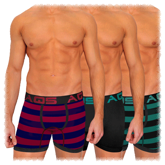 3-Pack: AQS Men's Printed Boxer Briefs