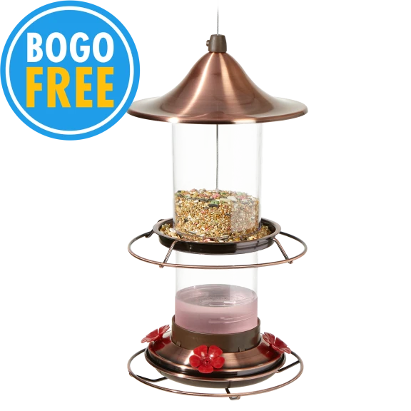 Belmont Garden 2-in-1 Bird and Hummingbird Feeder