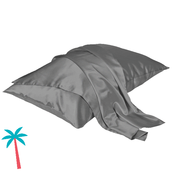 2-Pack: Beckham Hotel Collection 100% Mulberry Silk Pillowcase