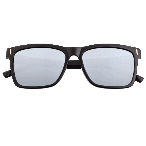 Breed Pictor Wayfarer Sunglasses