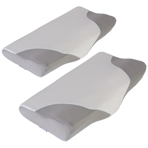 2-Pack: Setore Contour Memory Foam Pillow with Cover