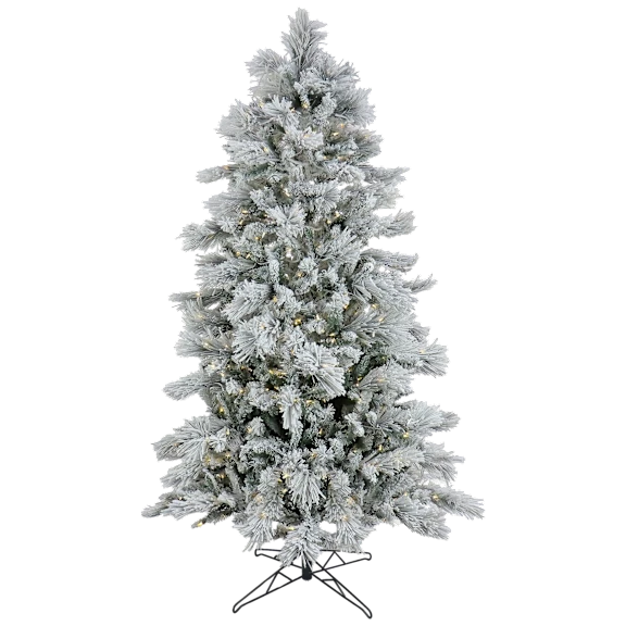 The Slim Snow-Covered Pine With Color-Changing Lights