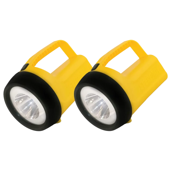 2-Pack: Eveready ReadyFlex Floating Flashlight with Batteries Included