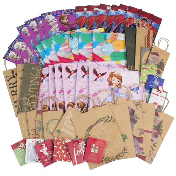 50-Pack: Random Gift Bags