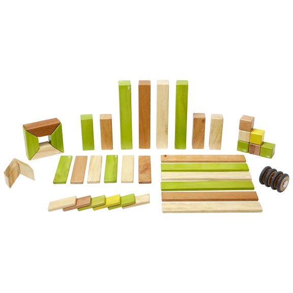 Tegu Jungle Collection 42-Piece Magnetic Block Set