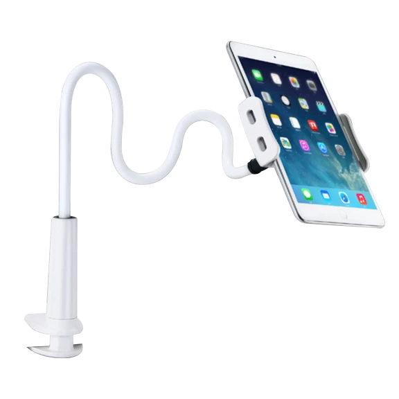 iBasics Adjustable and Rotatable Tablet Holder
