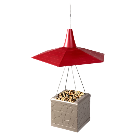 Eternity Bird Feeder with 360° Viewing and Squirrel Resistant Design