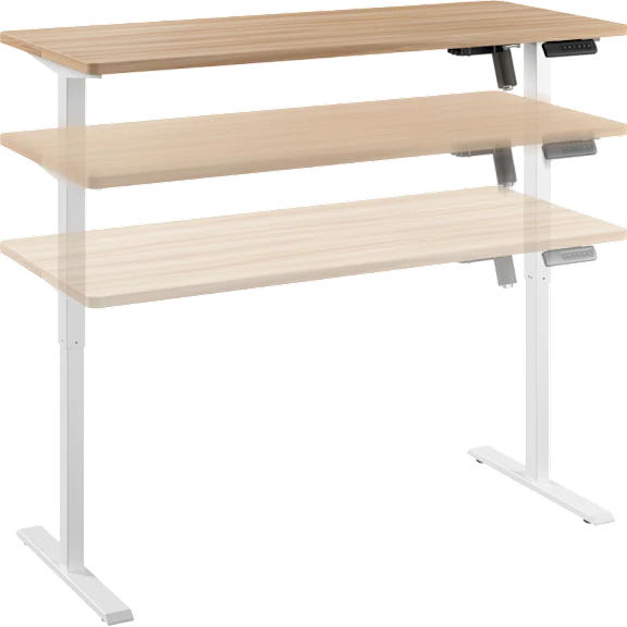 Energize 55W x 24D Electric Height Adjustable Standing Desk