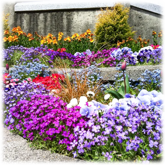 Touch Of Eco 55-Bulb Rock Garden Collection