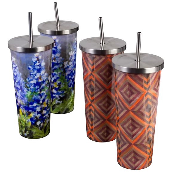 2-Pack: Cambridge 24 oz Insulated Screw Top Tumblers with Straw