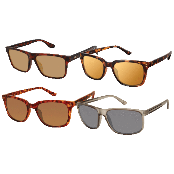 4-Pack: Champion Sunglasses