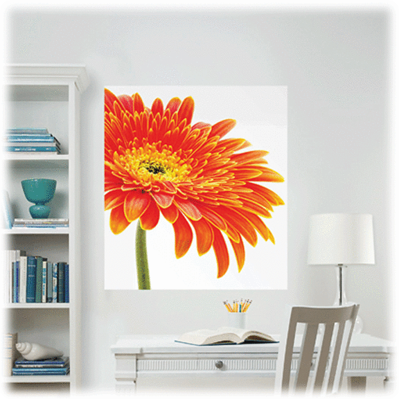 Nature WallPops