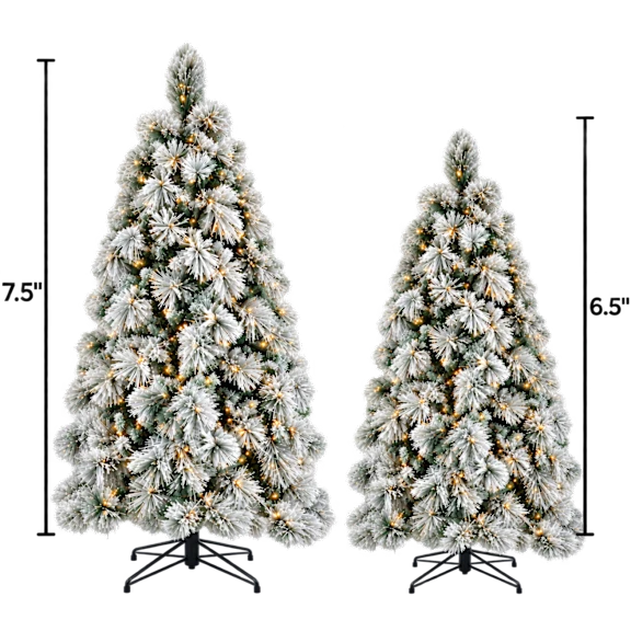 National Tree Company Flocked Bavarian Pine Trees with Clear Lights