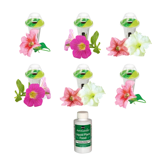 AeroGarden Cascading Petunias 6-Pod Seed Kit