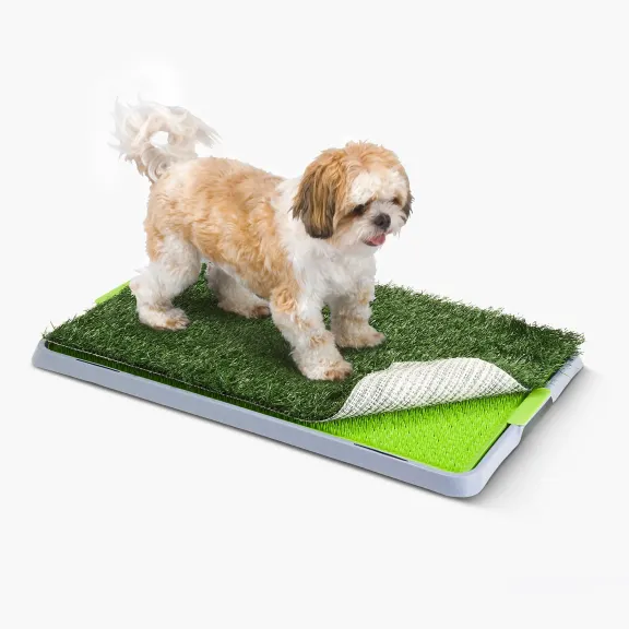 Mess Proof Indoor Dog Potty
