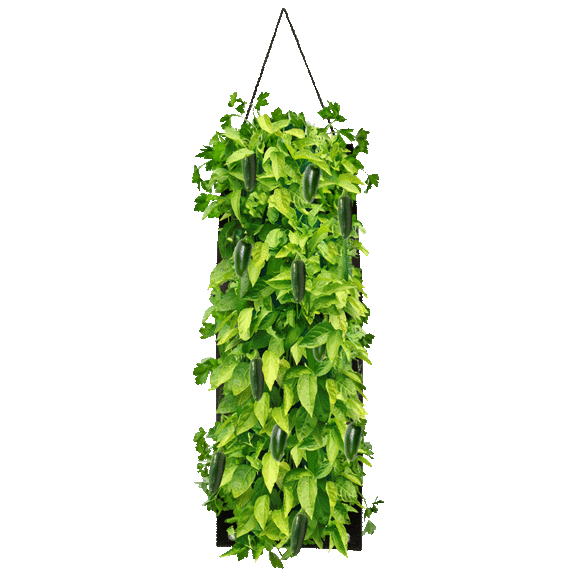 Touch of Eco Organic Hanging Seed Bag with Seeded Soil Block