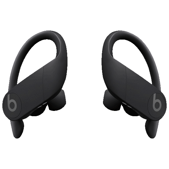 Beats Powerbeats Pro True Wireless High-Performance Earbuds