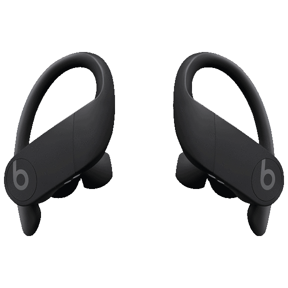Beats Powerbeats Pro Totally Wireless Earbuds