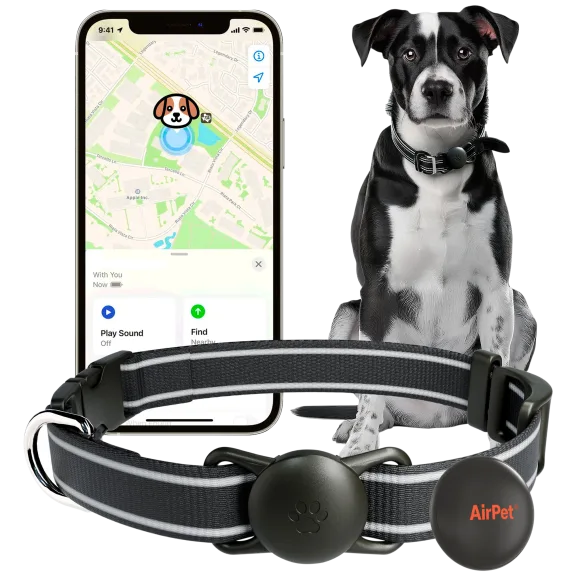 2-Pack: AirBuds AirPet Locator Tag with Apple Find My Compatibility