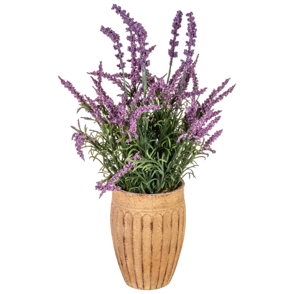 South Street Loft Lavender Arrangement In Vase